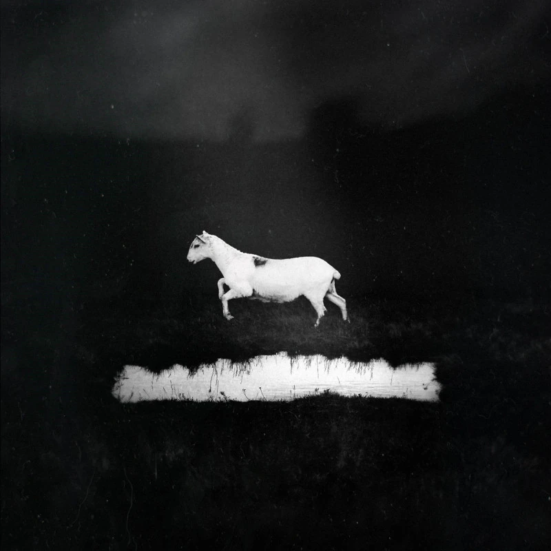 LES DISCRETS · Prédateurs | BLACK LP (Progressive Rock Vinyl) · Bild 1