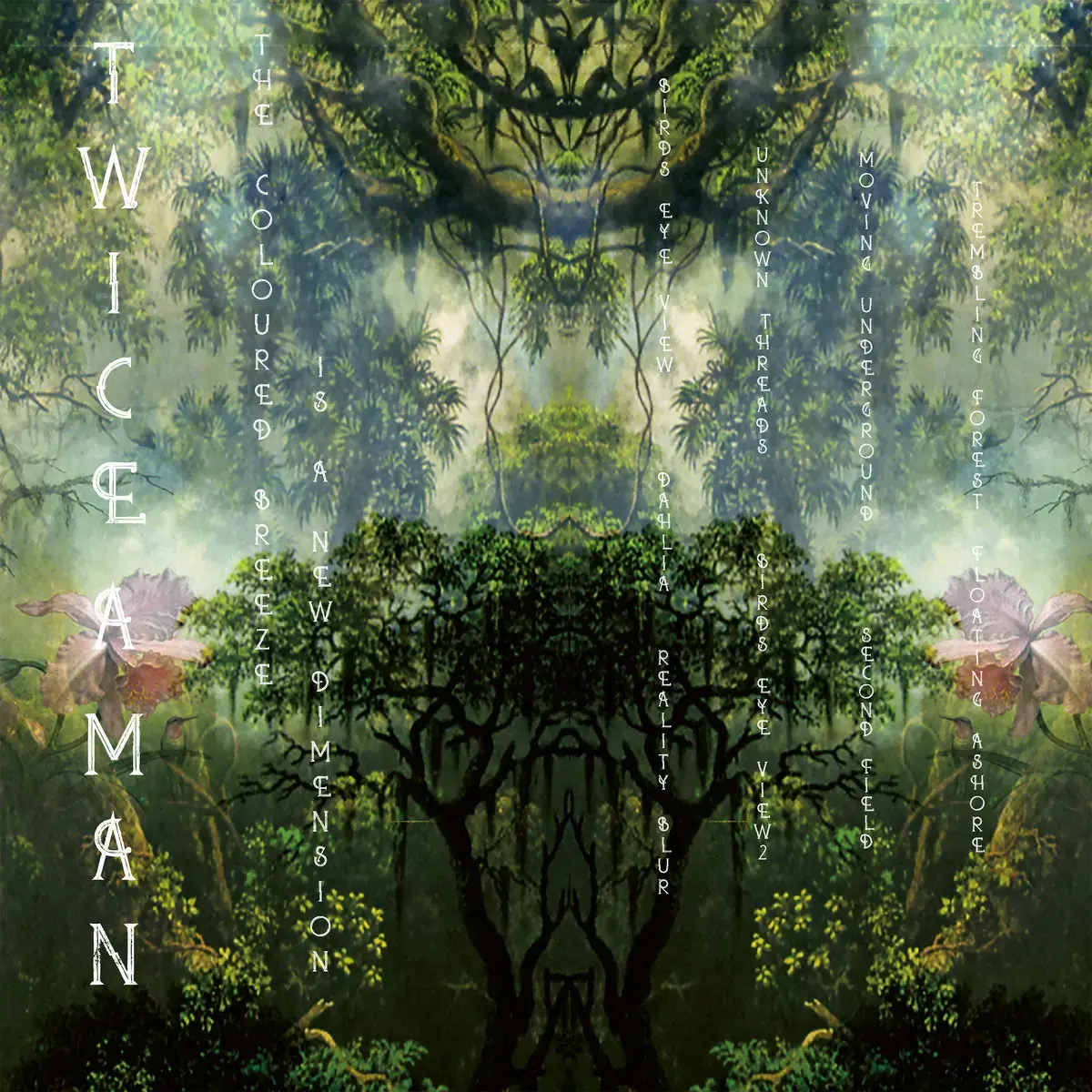 TWICE A MAN - The Coloured Breeze Is A New Dimension · BLACK LP · Bild 1 TWICE A MAN - The Coloured Breeze Is A New Dimension · BLACK LP (Electronic/Darkwave Vinyl) · Bild 1