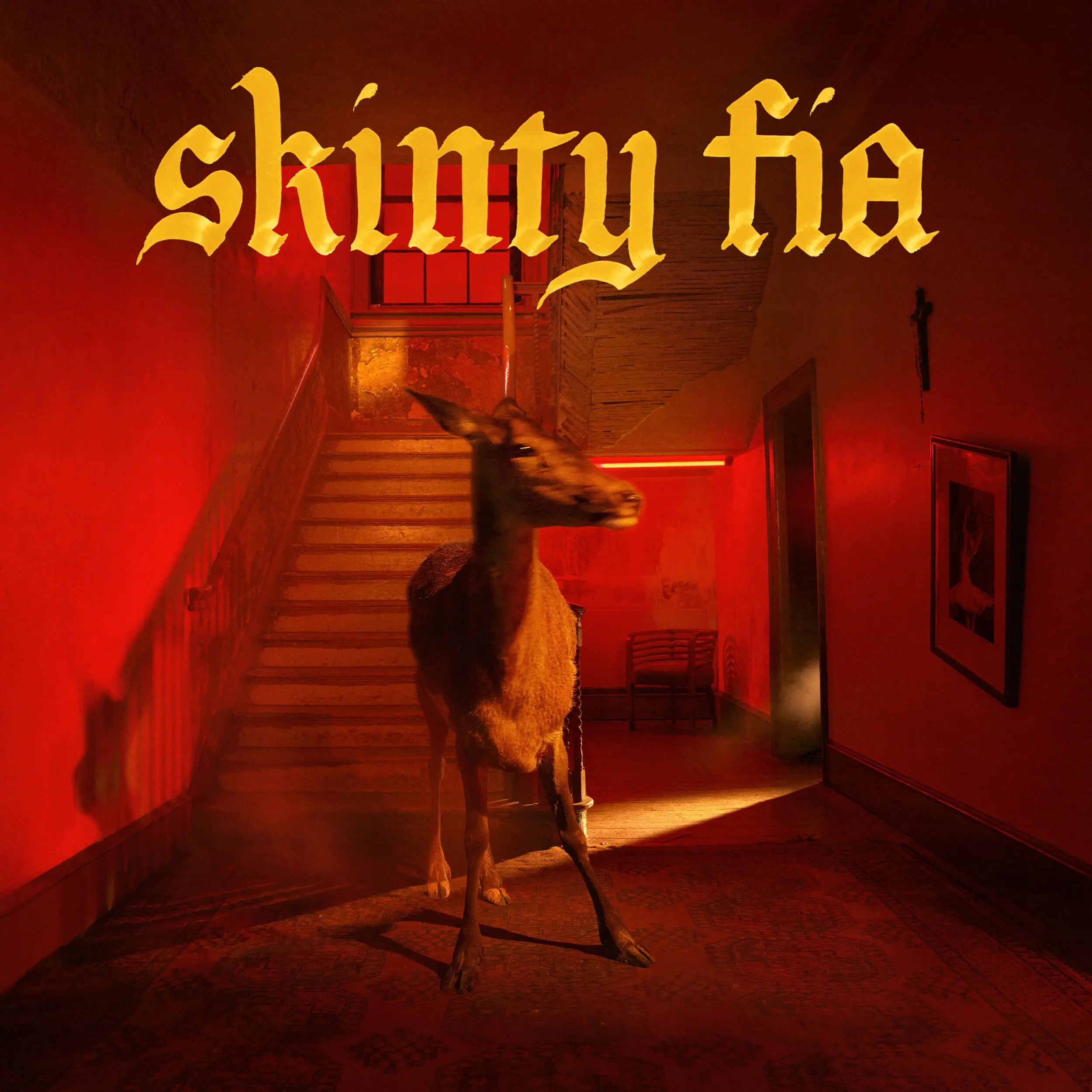 FONTAINES D.C. · Skinty Fia | BLACK LP · Bild 1 FONTAINES D.C. · Skinty Fia | BLACK LP (Alternative Rock Vinyl) · Bild 1