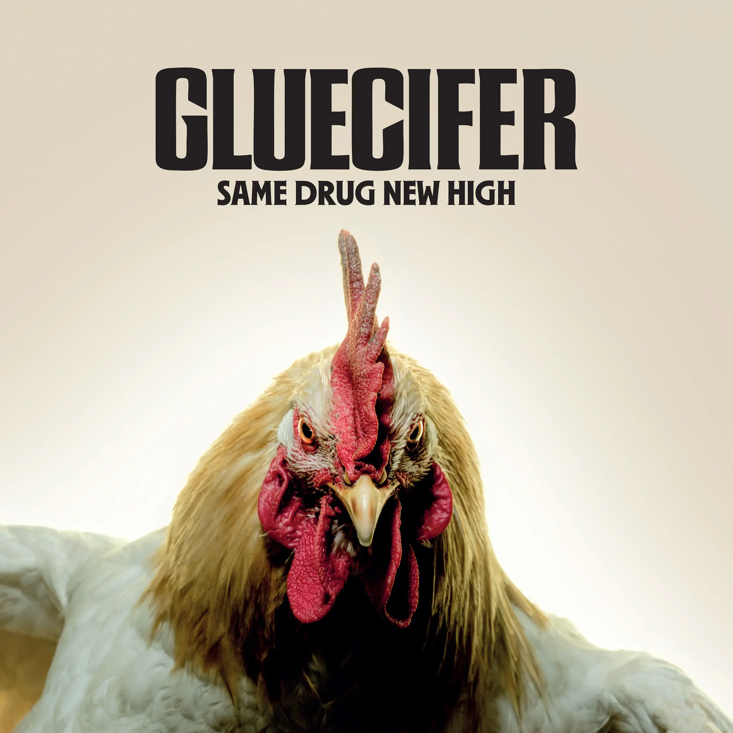 GLUECIFER - Same Drug New High · BLACK LP · Bild 1 GLUECIFER - Same Drug New High · BLACK LP (Hard Rock Vinyl) · Bild 1