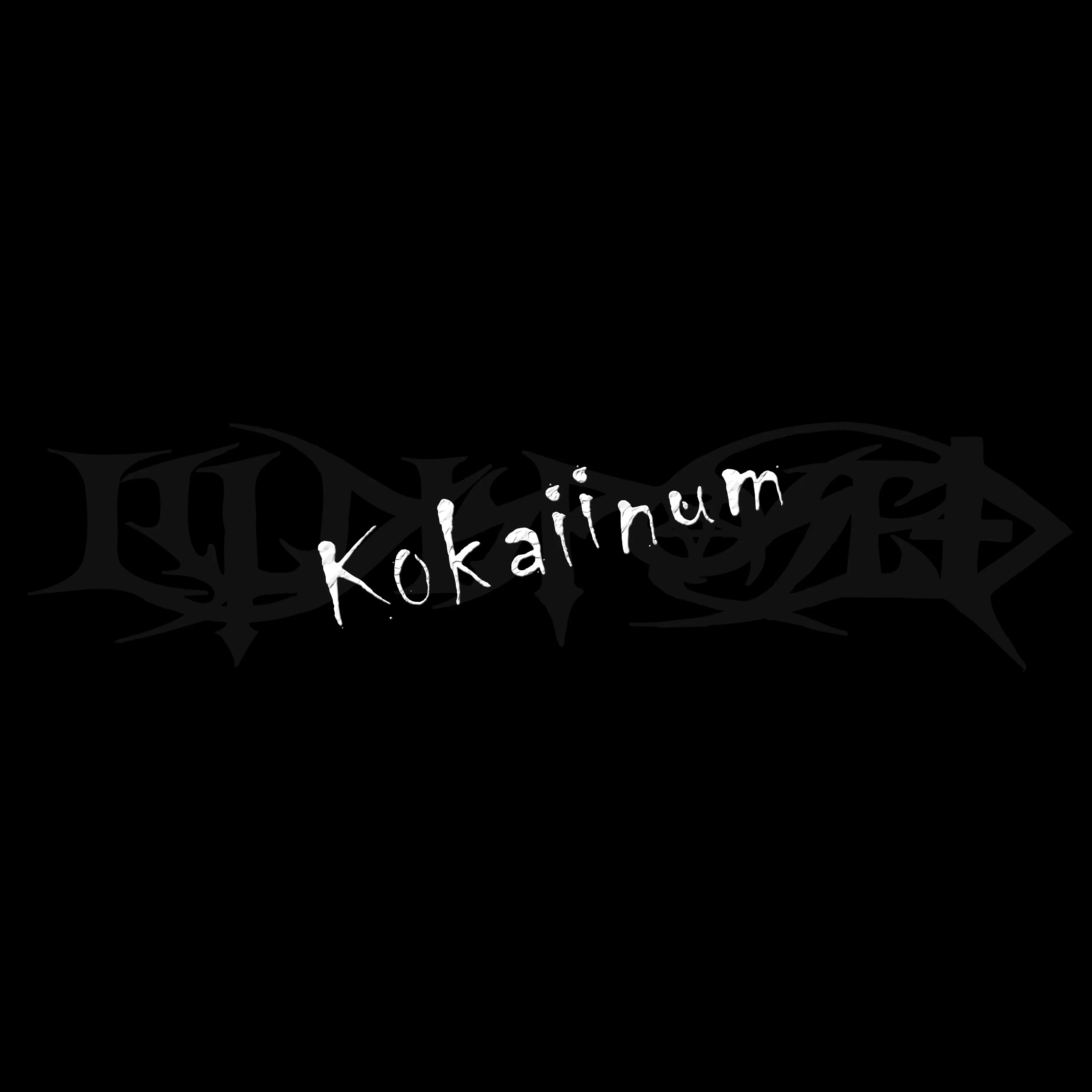 ILLDISPOSED · Kokaiinum | BLACK LP · Bild 1 ILLDISPOSED · Kokaiinum | BLACK LP (Death Metal Vinyl) · Bild 1