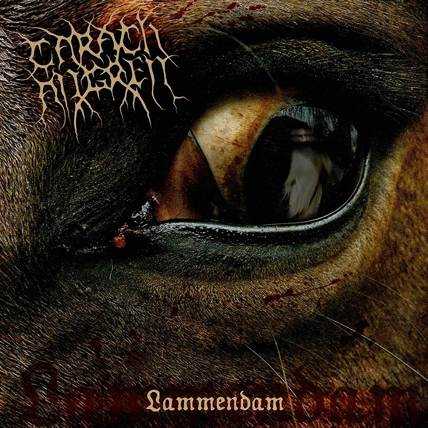 CARACH ANGREN - Lammendam · BLACK 2LP (Black Metal Vinyl) · Bild 1
