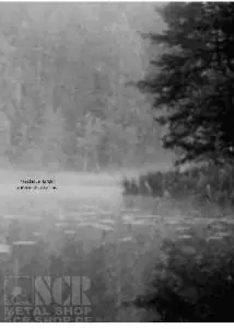 NUCLEUS TORN · Andromeda Awaiting | A5-DIGI DIGI (Progressive Metal CDs)