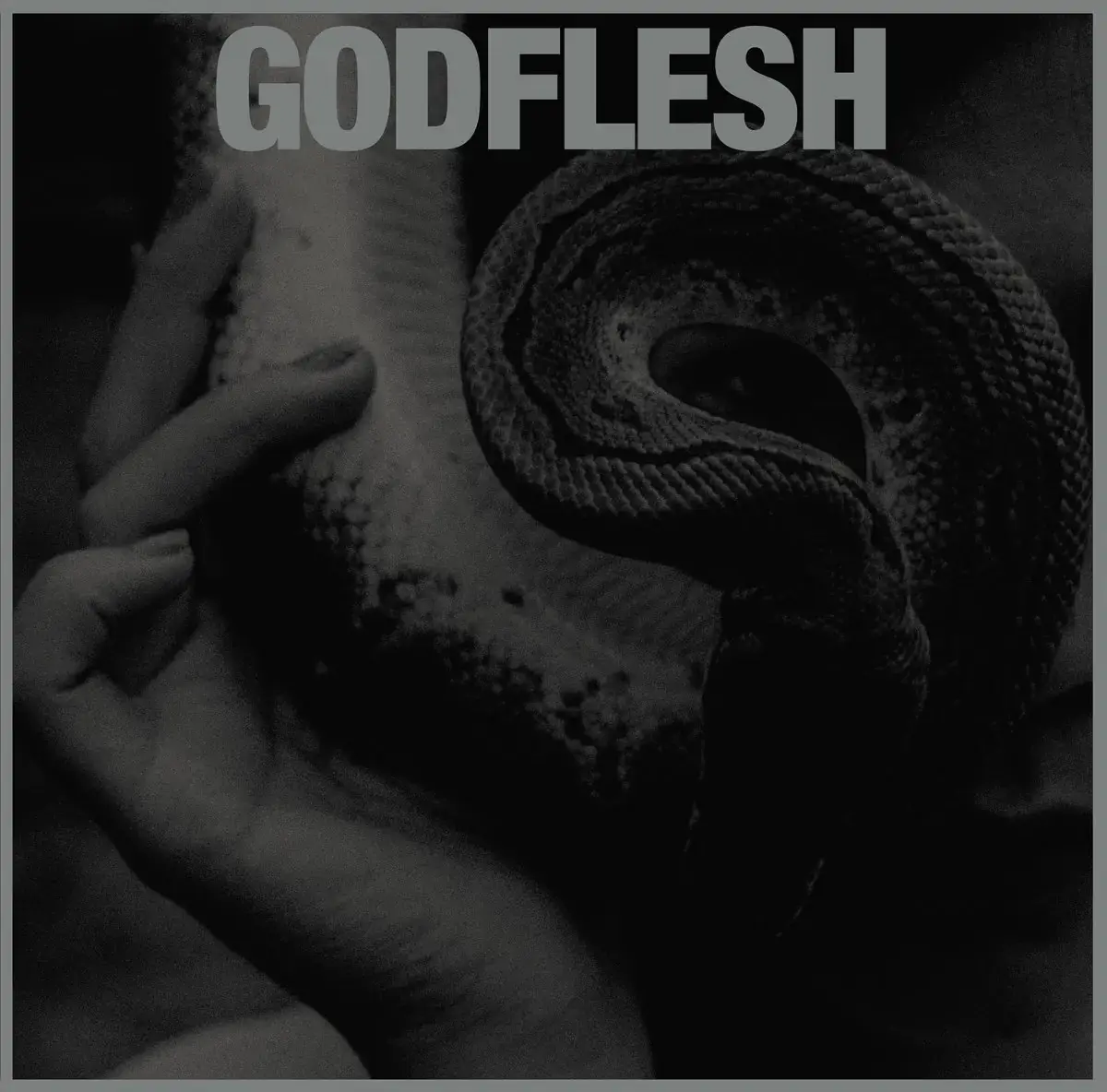 GODFLESH - Purge · DIGIPAK CD GODFLESH - Purge · DIGIPAK CD (Sludge CDs)