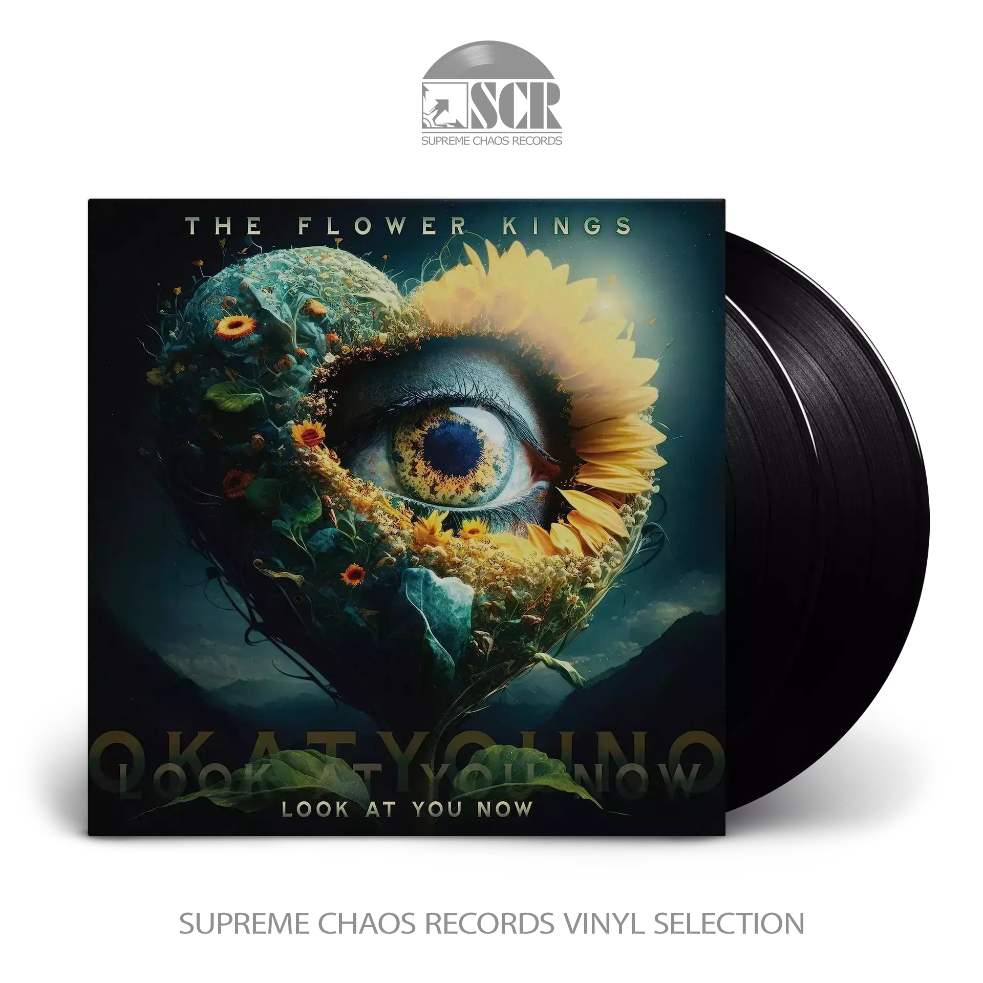 THE FLOWER KINGS · Look At You Now | BLACK 2LP THE FLOWER KINGS · Look At You Now | BLACK 2LP (Progressive Rock Vinyl)