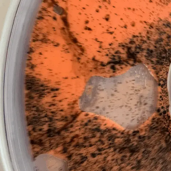 IGNITE · A War Against You | LIQUID FILLED LP · Bild 3 IGNITE · A War Against You | LIQUID FILLED LP (Hardcore Vinyl) · Bild 3