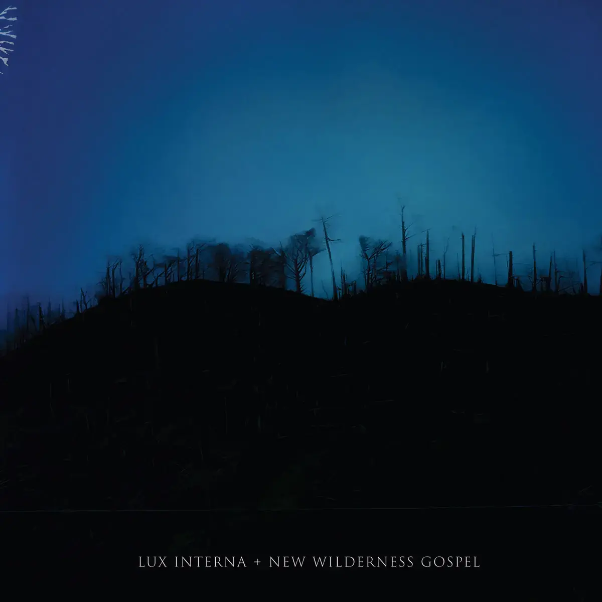 LUX INTERNA - New Wilderness Gospel · BLUE MARBLE 2LP (Folk Vinyl) · Bild 1