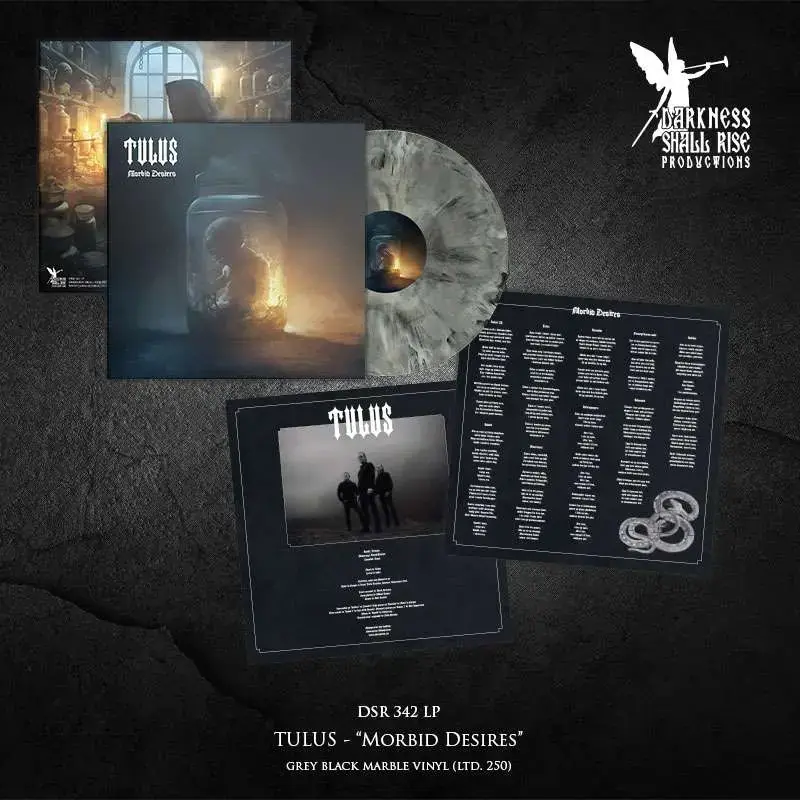 TULUS - Morbid Desires · GREY BLACK MARBLED LP (Black Metal Vinyl) · Bild 2