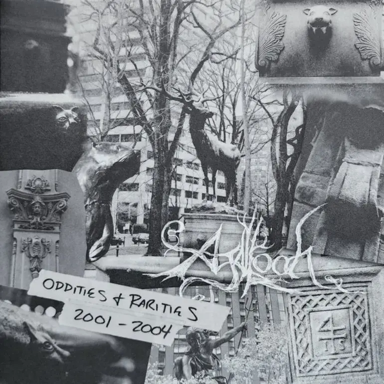 AGALLOCH - Oddities & Rarities 2001 - 2004 · CLEAR/BLACK SMOKE 2LP · Bild 1 AGALLOCH - Oddities & Rarities 2001 - 2004 · CLEAR/BLACK SMOKE 2LP (Black Metal/Folk Metal Vinyl) · Bild 1