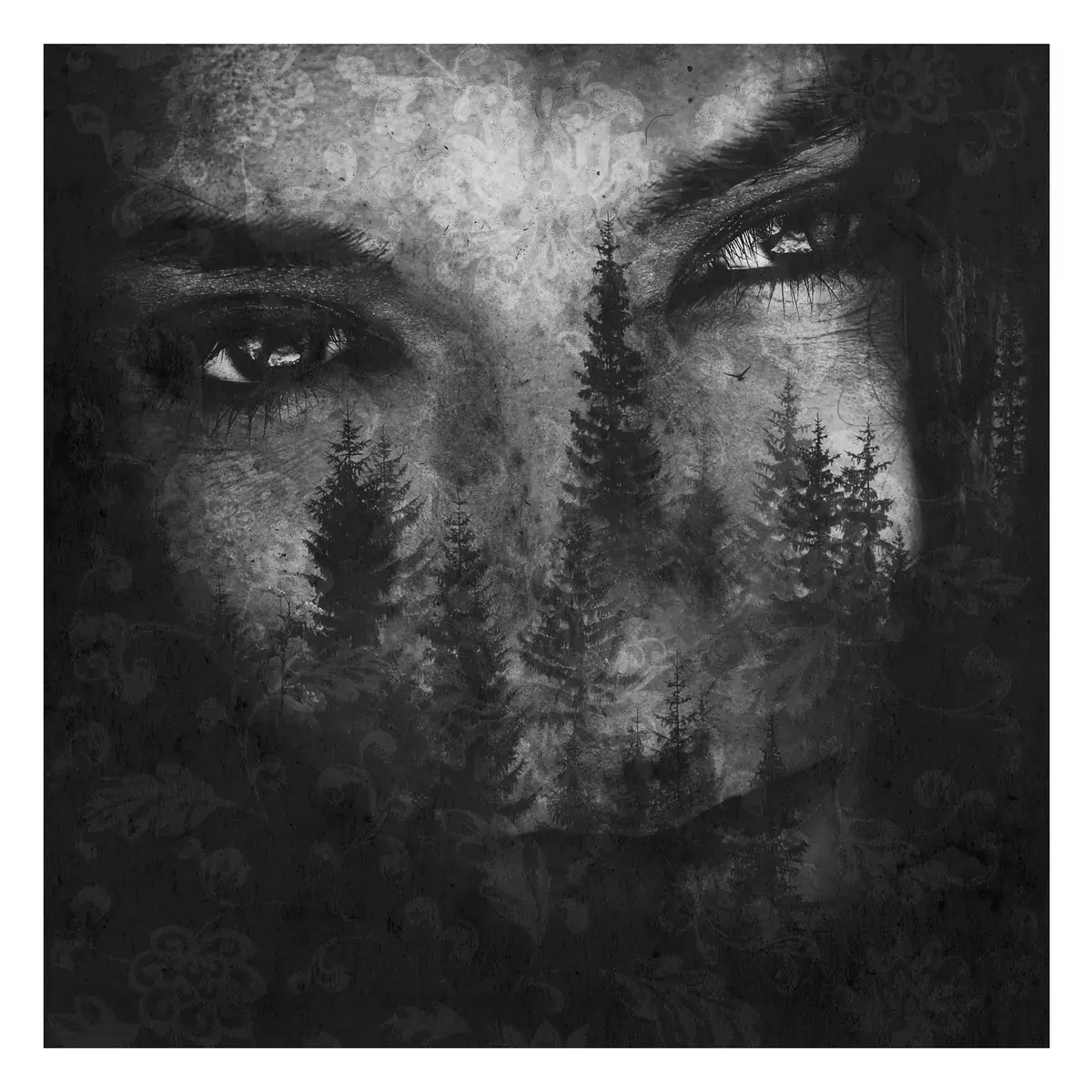 LUSTRE · The Ashes Of Light | SILVER LP · Bild 1 LUSTRE · The Ashes Of Light | SILVER LP (Black Metal Vinyl) · Bild 1