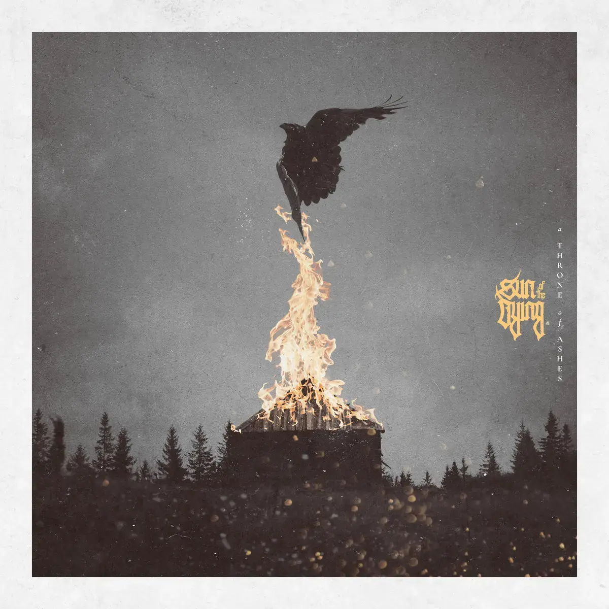 SUN OF THE DYING - A Throne Of Ashes · BLACK LP (Doom Metal/Death Metal Vinyl) · Bild 1
