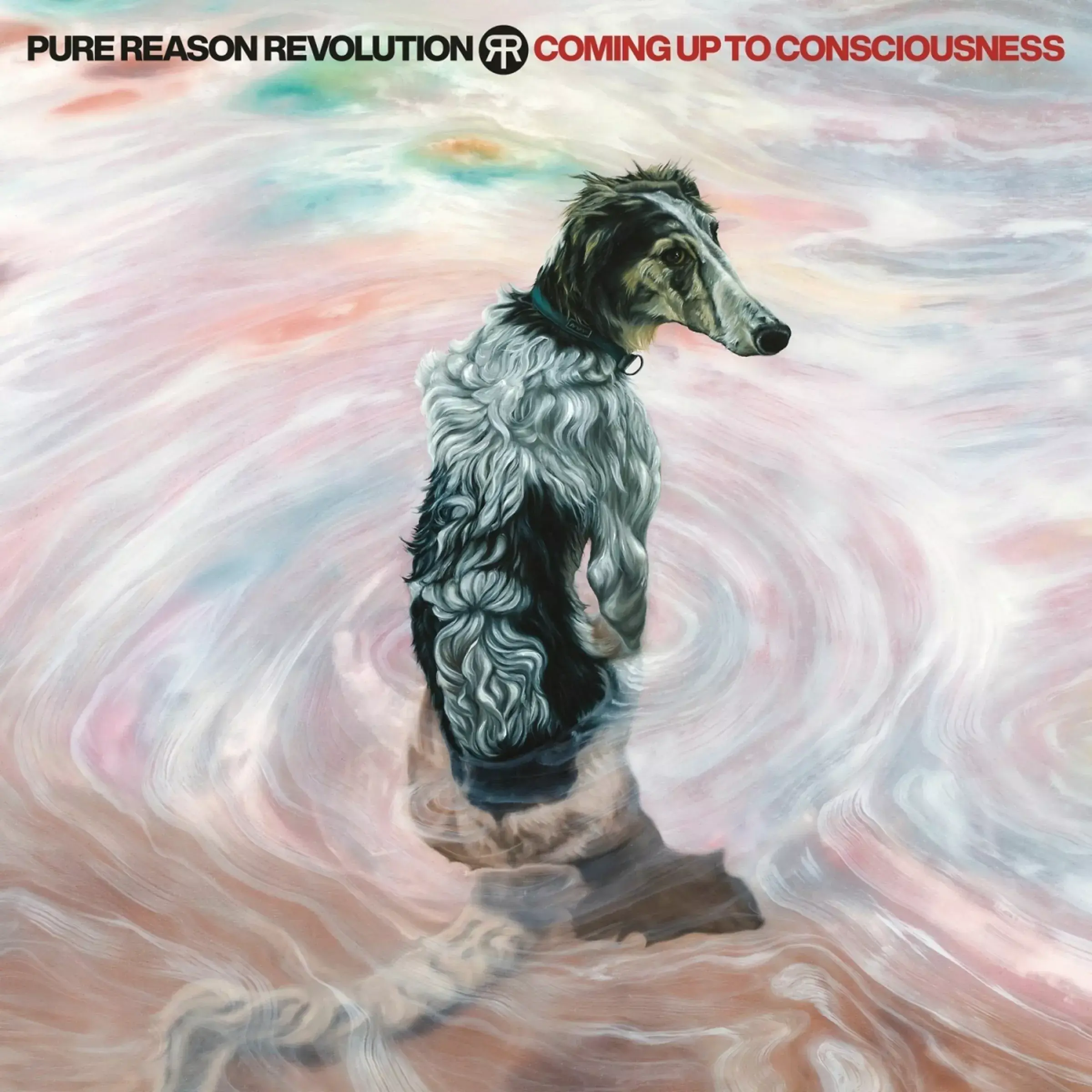 PURE REASON REVOLUTION - Coming Up To Consciousness · TRANSPARENT NEON PINK BIO VINYL (Progressive Rock Vinyl) · Bild 1