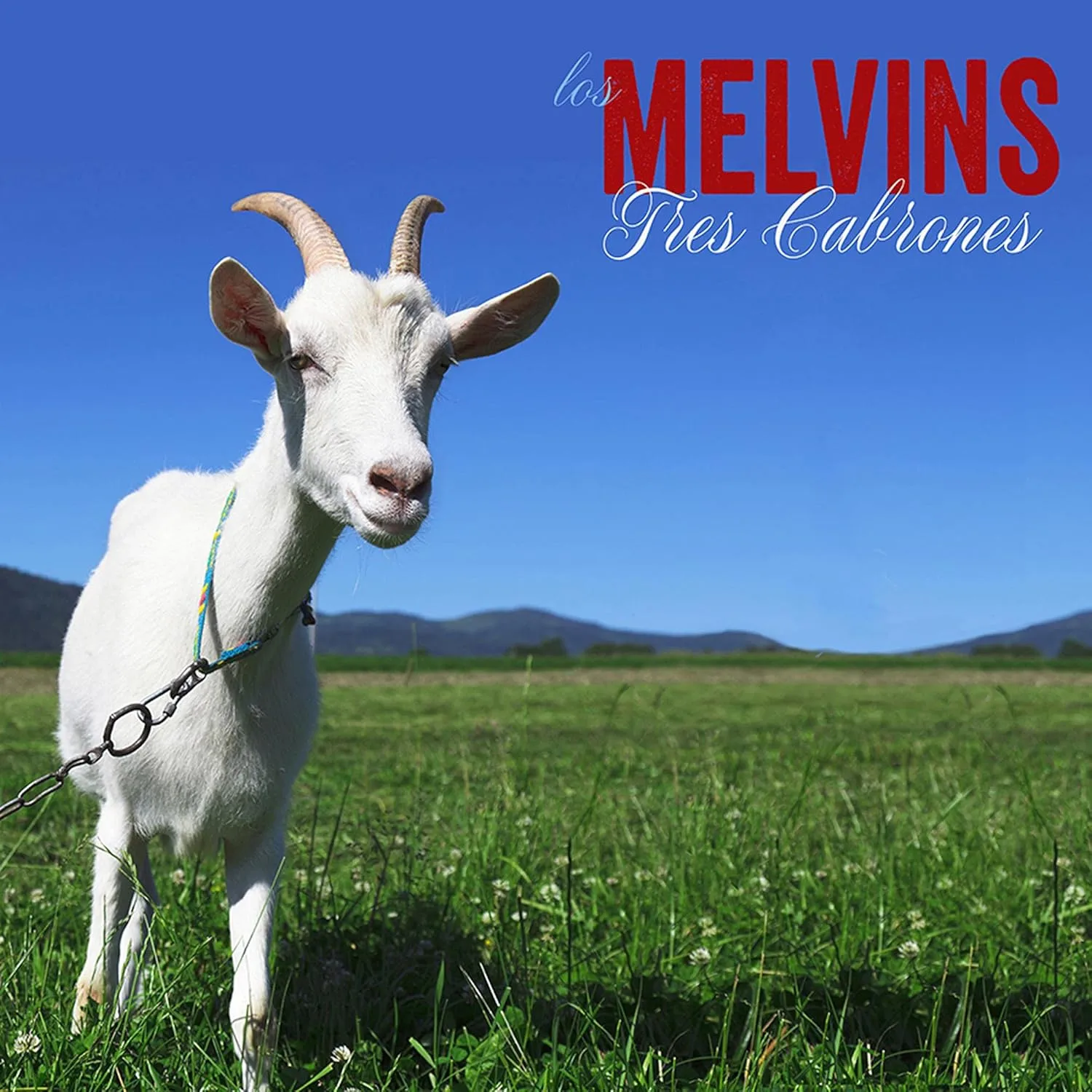 MELVINS · Tres Cabrones | SKY BLUE LP (Alternative Rock Vinyl) · Bild 1