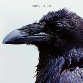 JOHNNY THE BOY · You | CLEAR/BLACK MARBLED LP (Black Metal Vinyl) · Bild 1