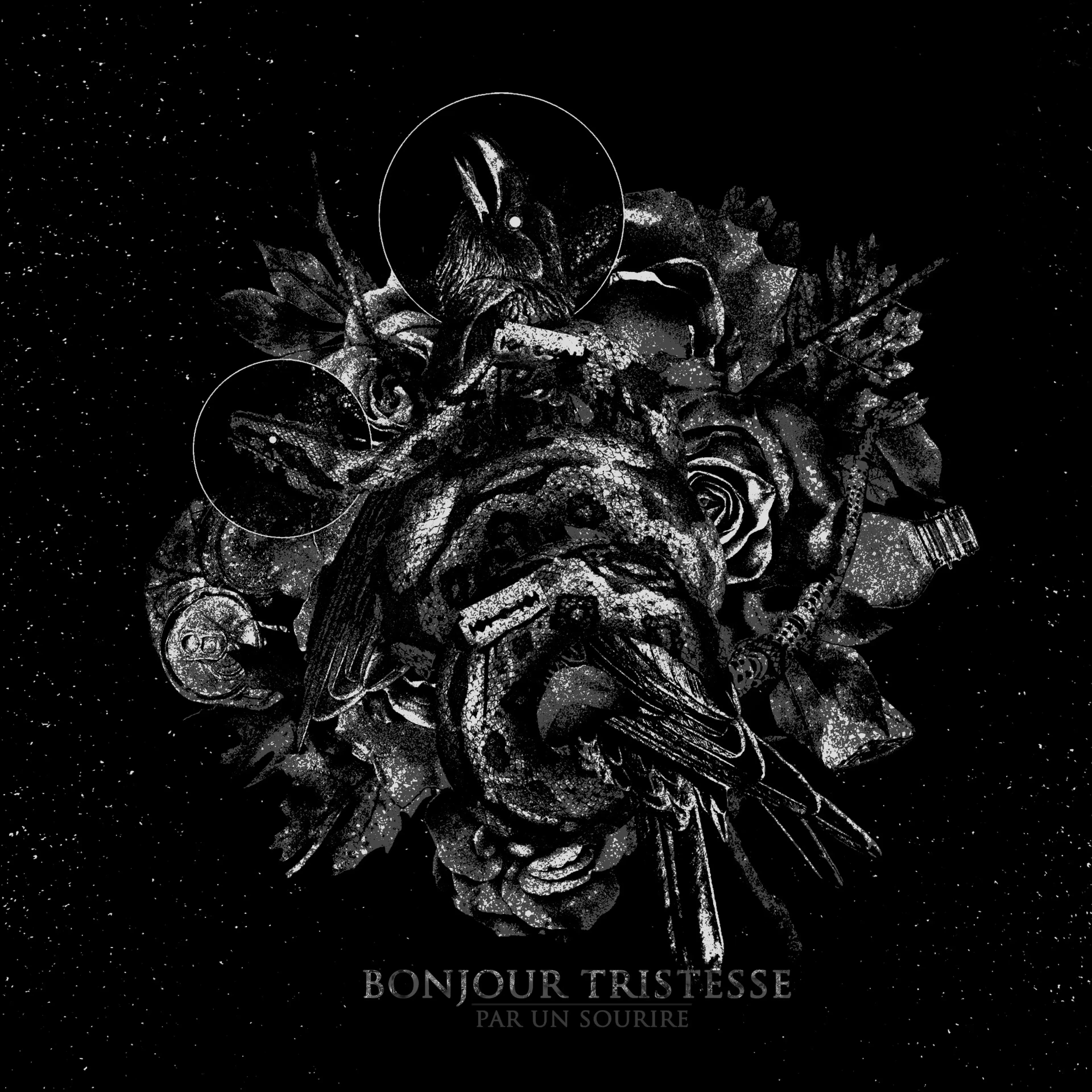 BONJOUR TRISTESSE · Par Un Sourire | BLACK LP (Black Metal Vinyl) · Bild 1