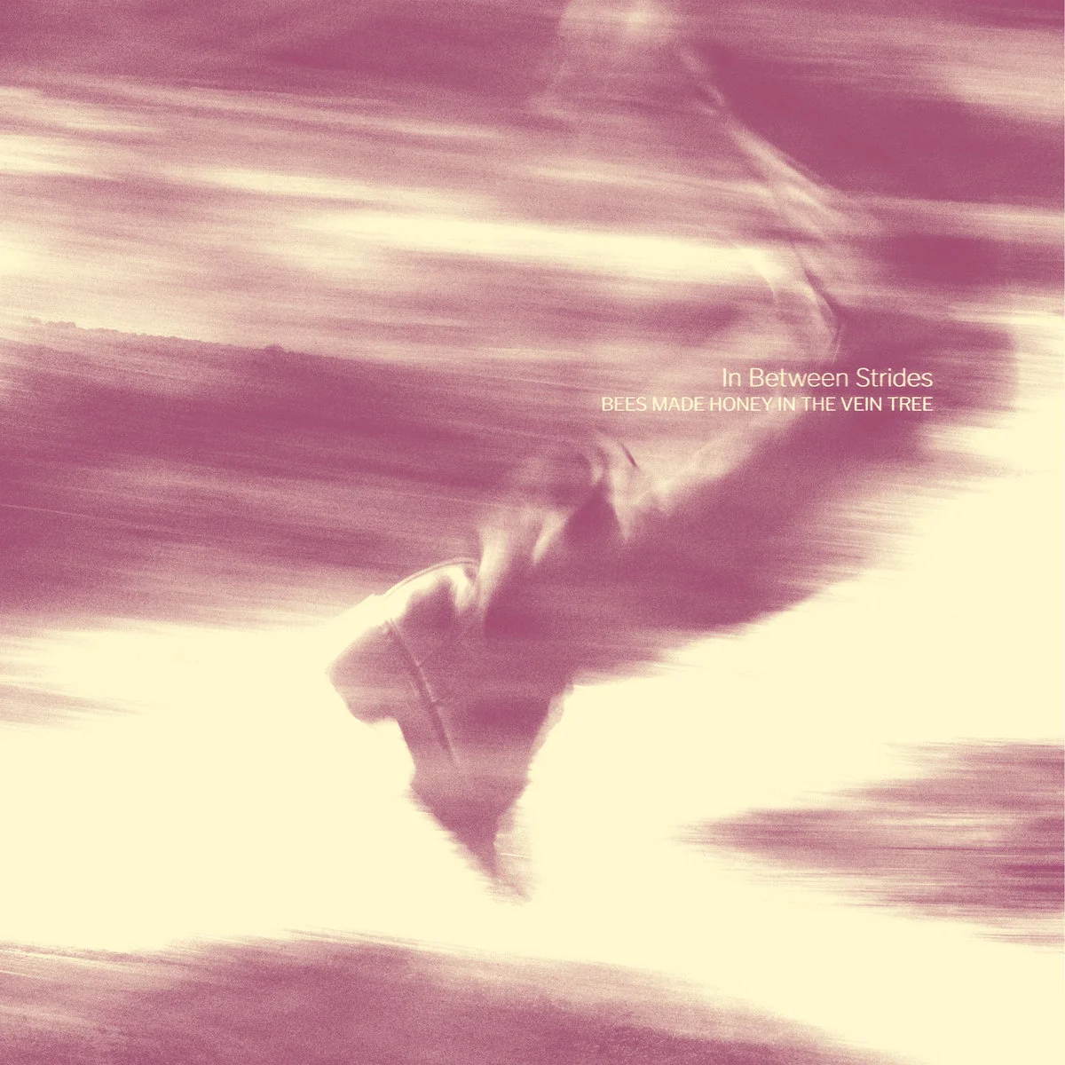 BEES MADE HONEY IN THE VEIN TREE · In Between Strides | DIGISLEEVE CD (Psychedelic Rock/Doom Metal CDs)