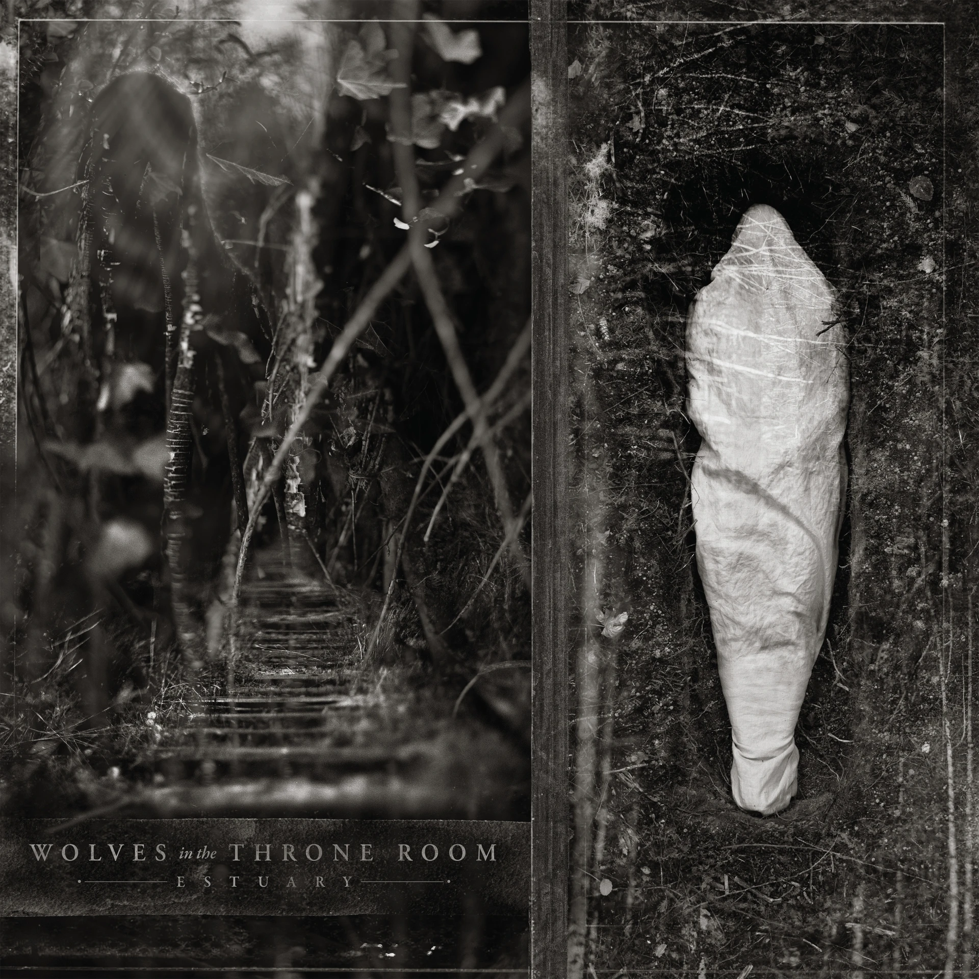 WOLVES IN THE THRONE ROOM - Estuary [BLACK LP] (Black Metal Vinyl) · Bild 1