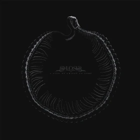SYLOSIS · A Sign Of Things To Come | WHITE LP (Melodic Death Metal Vinyl) · Bild 1