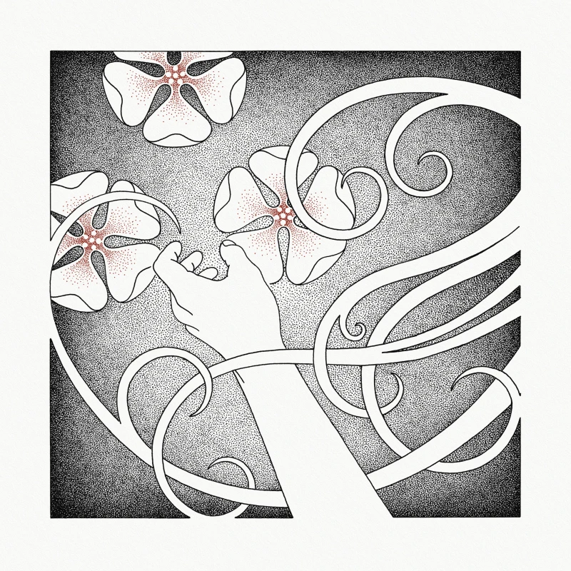 WHISPERING VOID · At The Sound Of The Heart | CRYSTAL CLEAR LP (Nordic Folk Vinyl) · Bild 1
