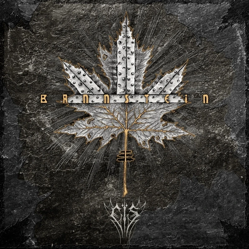 EIS · Bannstein | BLACK LP (Black Metal Vinyl) · Bild 1