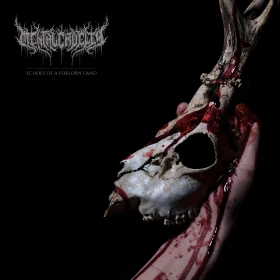 MENTAL CRUELTY - Echoes of a Forlorn Land [TRANSPERENT RED LP] (Death Metal Vinyl) · Bild 1