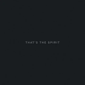 BRING ME THE HORIZON · That's The Spirit | BLACK LP+CD (Metalcore Vinyl) · Bild 1