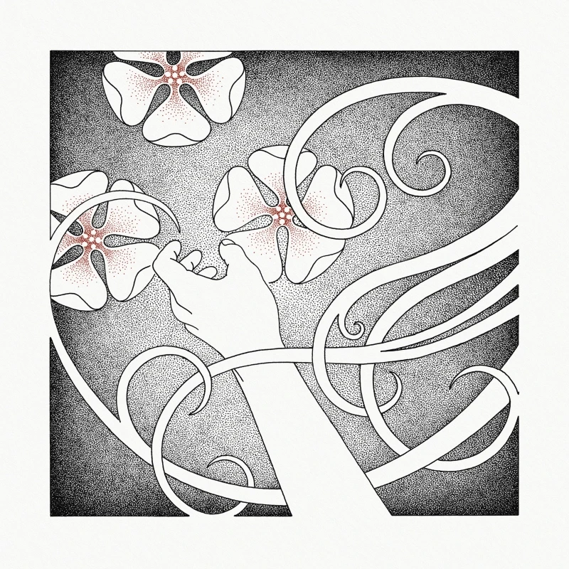 WHISPERING VOID · At The Sound Of The Heart | CRYSTAL CLEAR LP (Nordic Folk Vinyl) · Bild 1