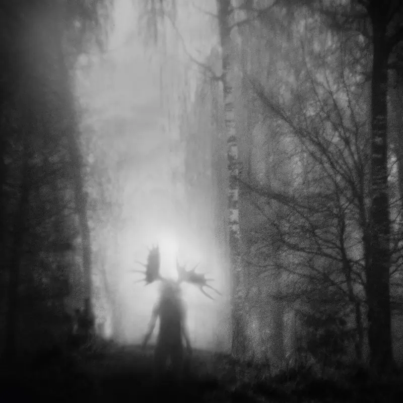 ITERUM NATA · From The Infinite Light | BLACK LP (Folk Vinyl) · Bild 1