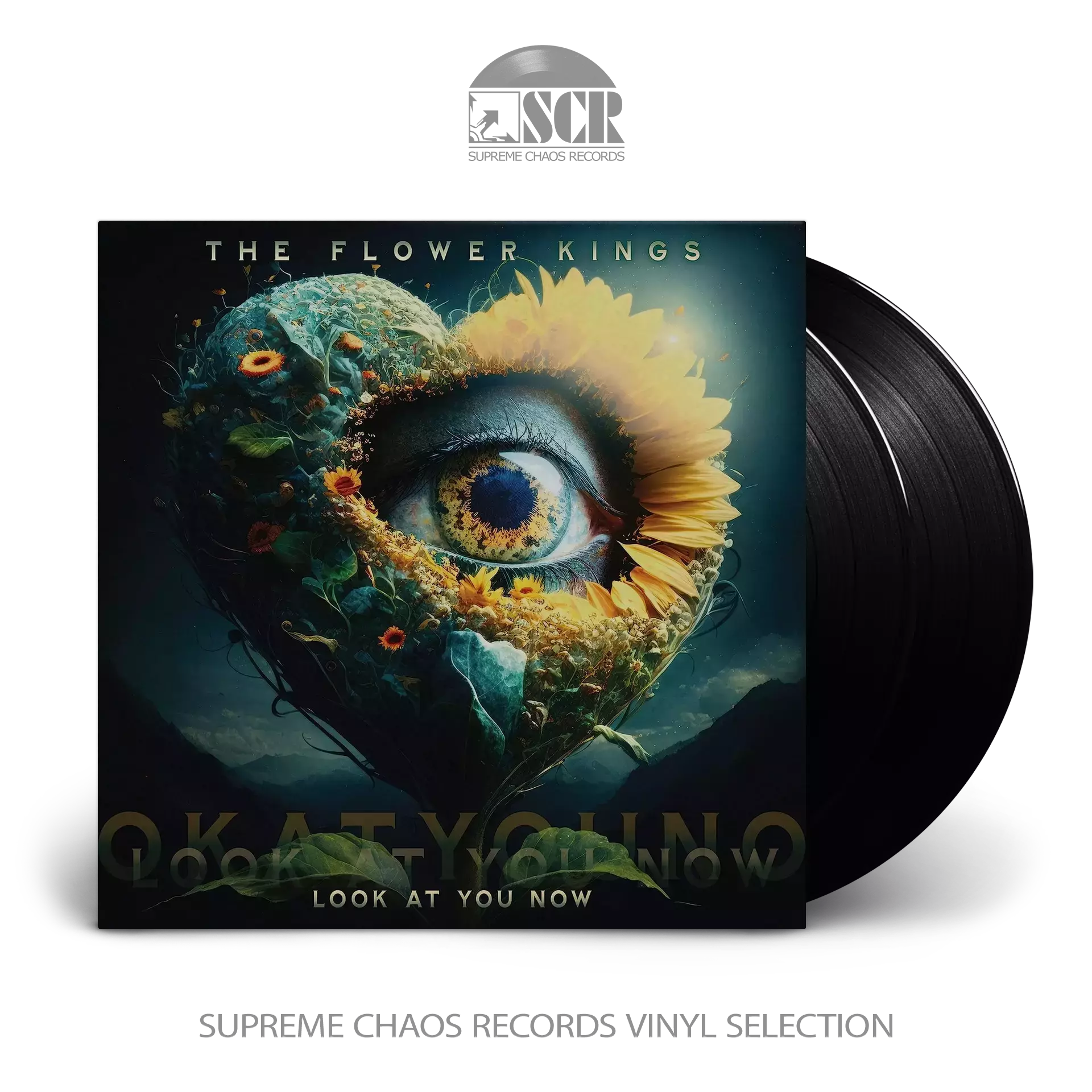 THE FLOWER KINGS · Look At You Now | BLACK 2LP (Progressive Rock Vinyl)