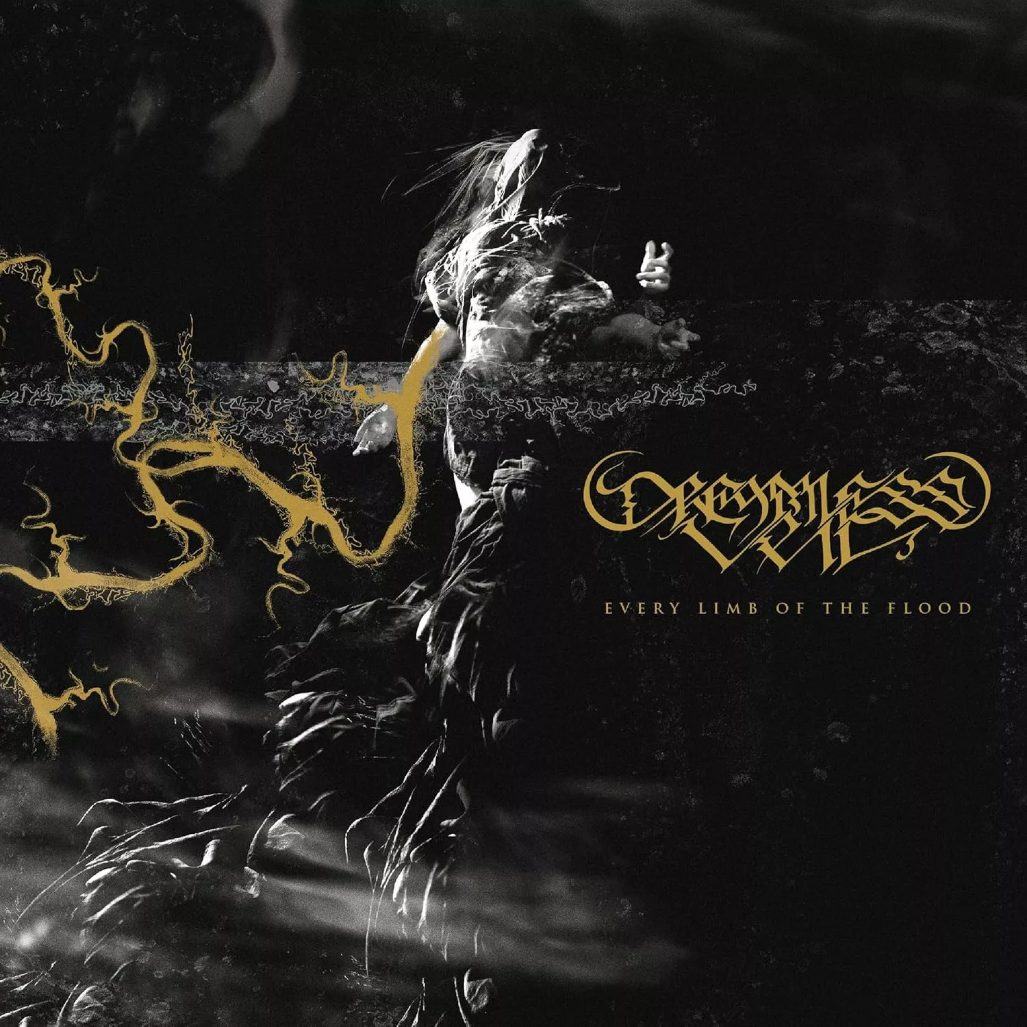 DREAMLESS VEIL · Every Limb of the Flood | CD (Death Metal CDs)
