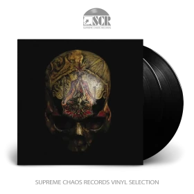 BLIGHT · Temple Of Wounds | BLACK 2LP (Black Metal Vinyl)