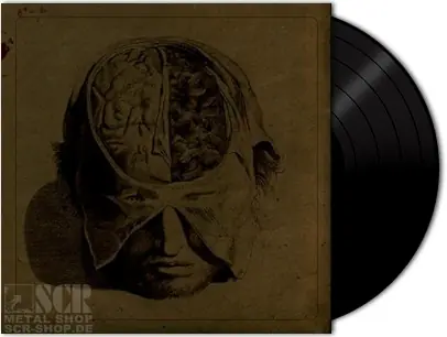 FARSOT - Insects [Ltd.]
(LP)