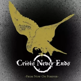 CRISIS NEVER ENDS · From Now On Forever | BLACK/GOLD 7" EP (Hardcore Vinyl) · Bild 1