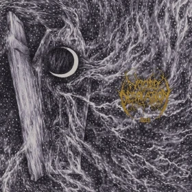 WOODS OF DESOLATION · Sorh | BLACK LP (Black Metal Vinyl) · Bild 1
