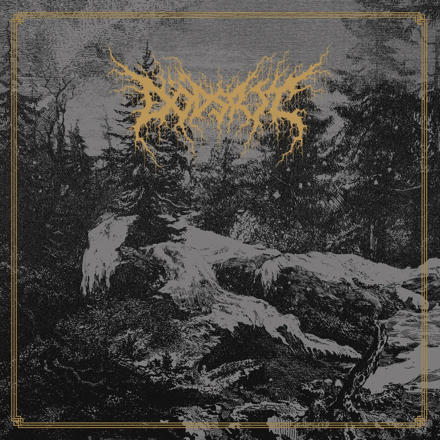 DÖDSRIT · Mortal Coil | BLACK LP (Black Metal Vinyl) · Bild 1