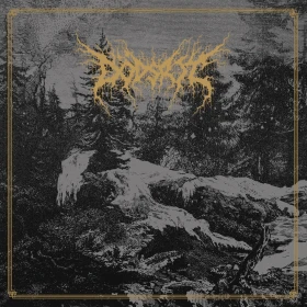 DÖDSRIT · Mortal Coil | BLACK LP (Black Metal Vinyl) · Bild 1