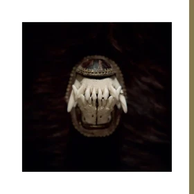 AMENRA · De Toorn | BLACK ONYX LP (Doom Metal/Post Metal/Sludge/Hardcore Vinyl) · Bild 1