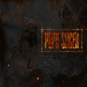 PUPIL SLICER · Fleshwork | CITRUS ECO MIX LP (Mathcore/Progressive Metal Vinyl) · Bild 1