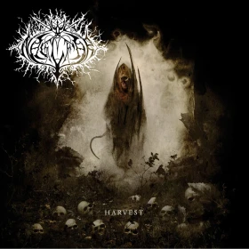 NAGLFAR · Harvest | CLEAR LP (Melodic Death Metal/Black Metal Vinyl) · Bild 1
