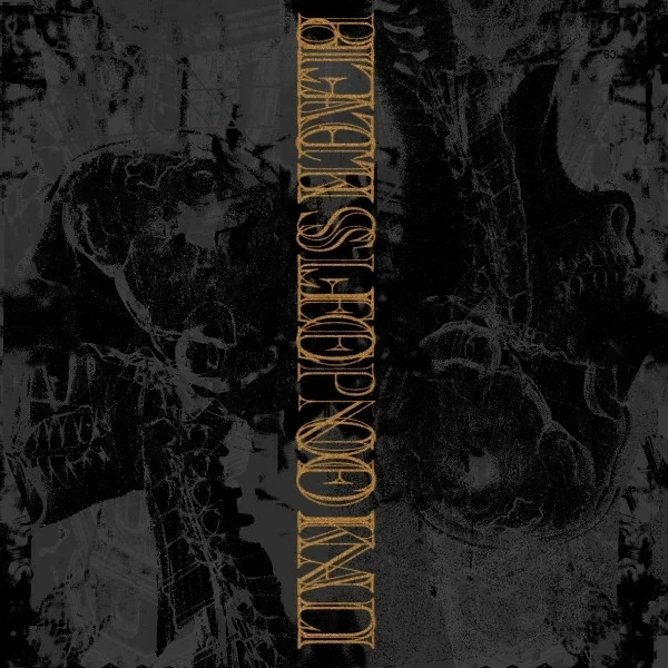 BLACK SLEEP OF KALI / UNION OF SLEEP · Split | BLACK LP (Sludge Vinyl) · Bild 1