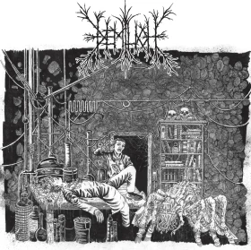 DEMILICH · Em9t2ness Of Van2s1ing / V34ish6ng 0f Emptiness | CLEAR/BLACK SMOKE 2LP (Death Metal Vinyl) · Bild 1