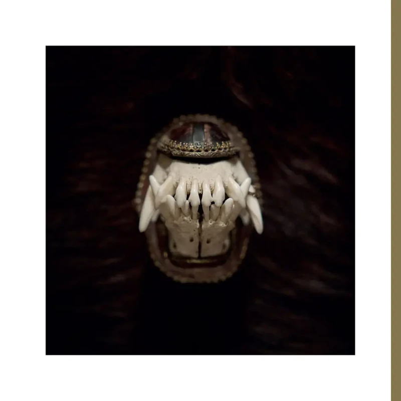 Amenra · De Toorn | CD