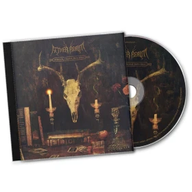 AETHER REALM · Redneck Vikings From Hell | CD (Melodic Death Metal CDs) · Bild 2