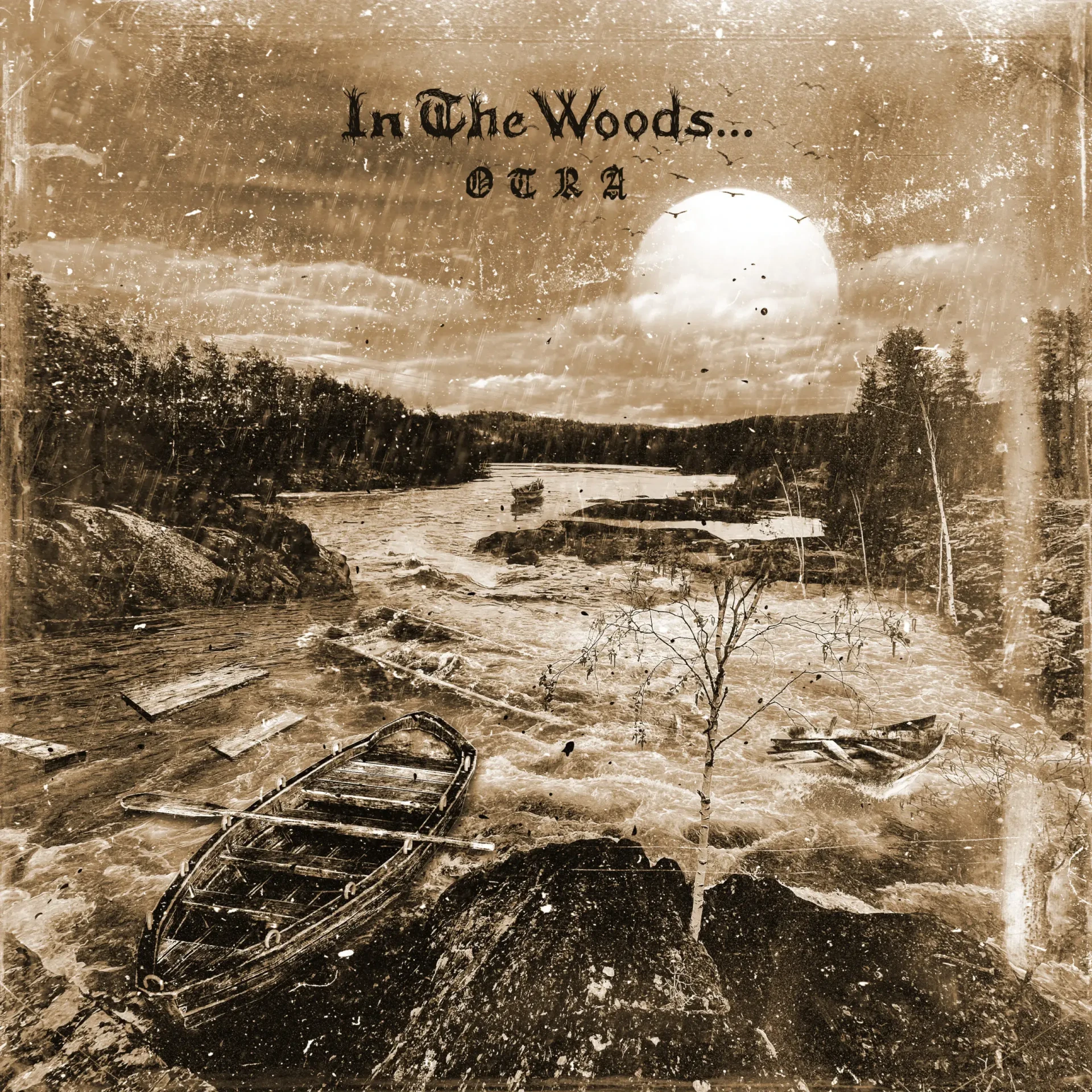 IN THE WOODS... · Otra | BLACK LP (Black Metal/Progressive Metal Vinyl) · Bild 1