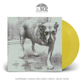 ALICE IN CHAINS · Alice In Chains (30th Anniversary Edition) | YELLOW 2LP (Alternative Rock/Progressive Rock Vinyl)