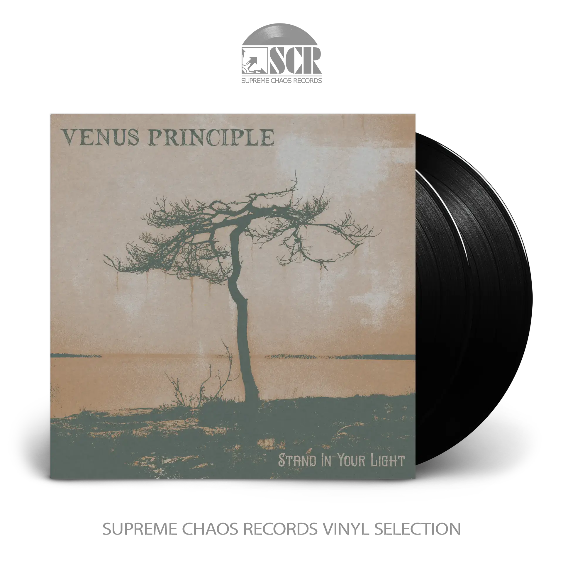 VENUS PRINCIPLE · Stand In Your Light | BLACK 2LP (Dark Rock Vinyl)