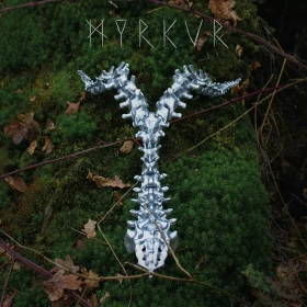 MYRKUR · Spine | SILVER LP (Black Metal Vinyl) · Bild 1
