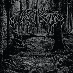 WOLVES IN THE THRONE ROOM - 2005 Demo [DIGIPAK CD] (Black Metal CDs)