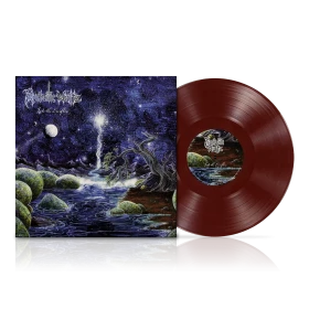 PSYCHOTIC WALTZ · Into The Everflow (Re-Issue 2024) | DEEP BLOOD RED LP (Progressive Metal Vinyl) · Bild 1