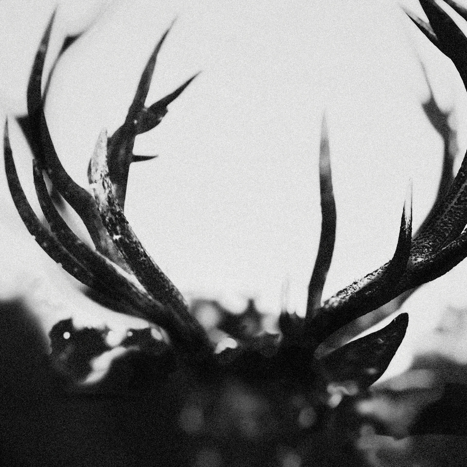 IHSAHN · Ihsahn | LIMITED DIGIBOOK (Black Metal CDs) · Bild 2